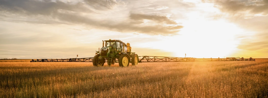 Oportunidades de economia com WEED-IT